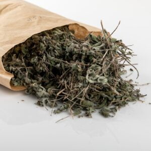 אזוב מצוי- עלים