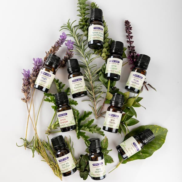 ASB2025 48 שמנים אתרי Shirat Ha'Midbar - A Farming Experience in the Midst of Herbs